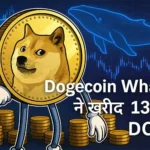 Dogecoin Whales ने खरीदे 130M DOGE: क्या जल्द आएगा धमाका?