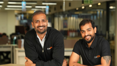 CoinDCX Website Scam