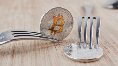 Big controversy over Bitcoin Cash Hard Fork