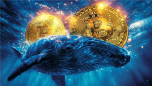 After 15 Years, a BTC Whale Sold 3,500 Bitcoins